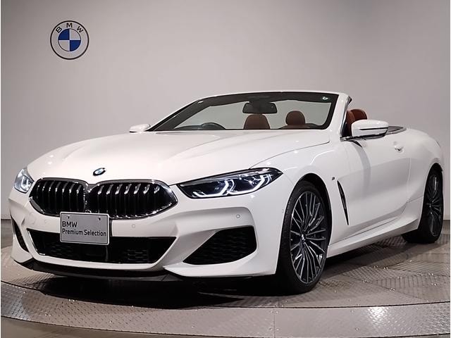 Bmw 8 SERIES 2020 — фото автомобиля