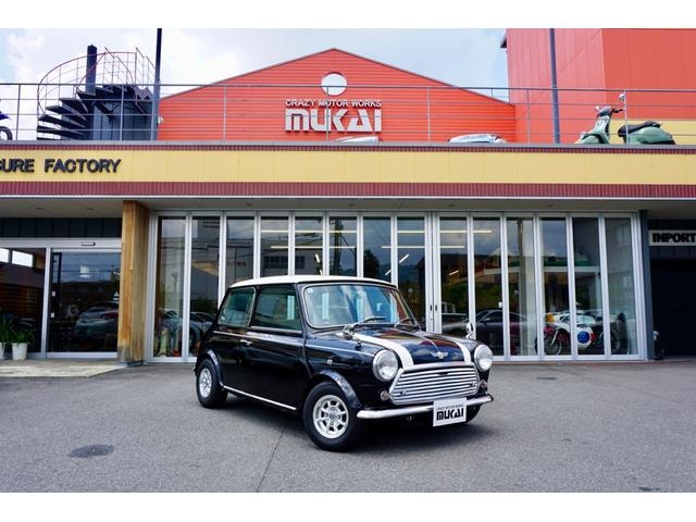 Rover MINI 1990 — фото автомобиля 1