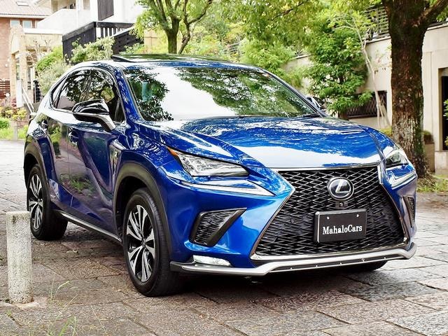 Lexus NX 2018 — фото автомобиля 1