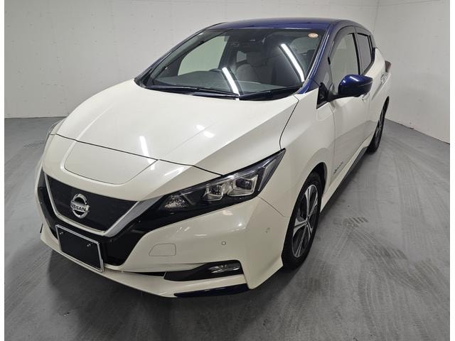 Nissan LEAF 2018 — фото автомобиля 1