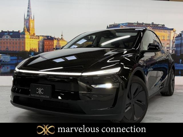 Tesla MODEL Y 2025 — фото автомобиля 1