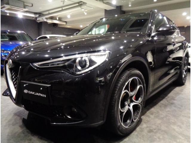 Alfa Romeo STELVIO 2021 — фото автомобиля 1