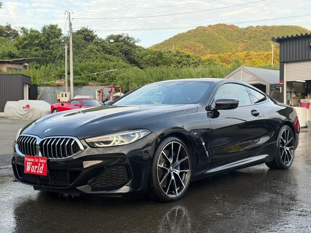 Bmw 8 SERIES 2019 — фото автомобиля 1
