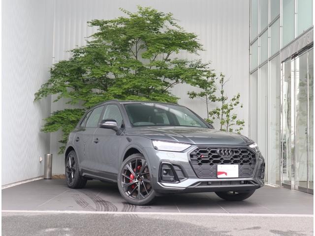 Audi SQ5 2025 — фото автомобиля 1