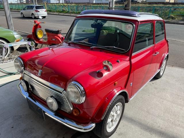 Rover MINI 1991 — фото автомобиля 1