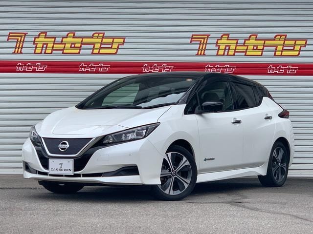 Nissan LEAF 2020 — фото автомобиля 1