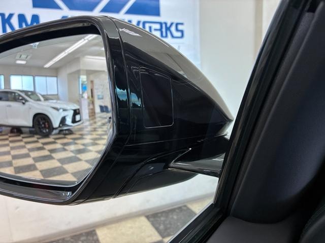 Миниатюра 52