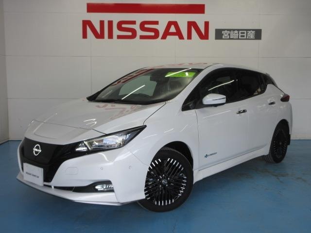 Nissan LEAF 2025 — фото автомобиля 1