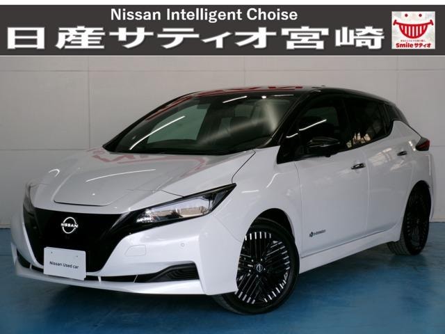 Nissan LEAF 2024 — фото автомобиля