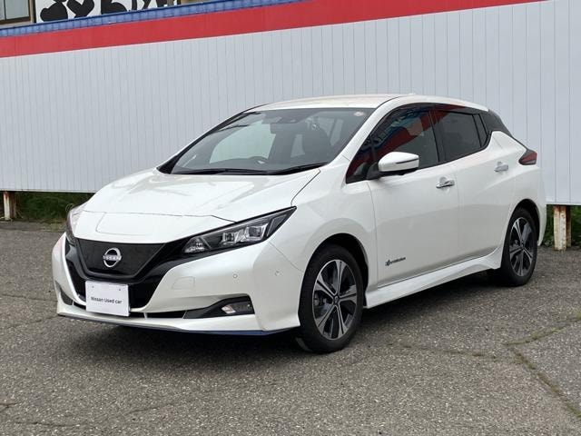 Nissan LEAF 2021 — фото автомобиля 1