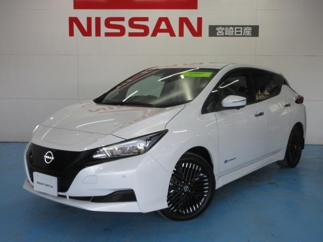 Nissan LEAF 2025 — фото автомобиля 1