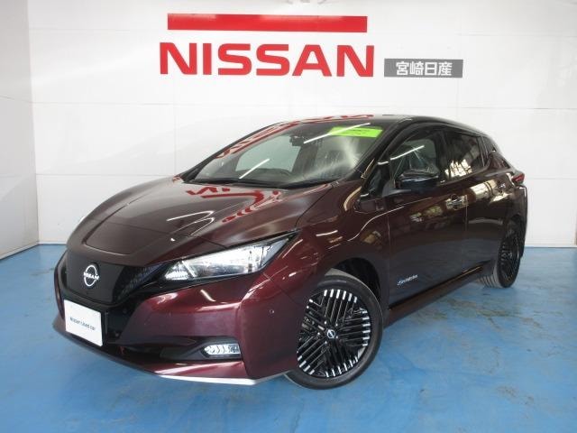 Nissan LEAF 2023 — фото автомобиля 1