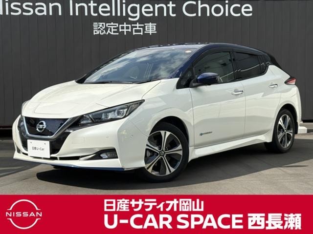 Nissan LEAF 2021 — фото автомобиля 1