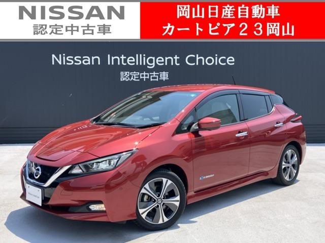 Nissan LEAF 2019 — фото автомобиля 1