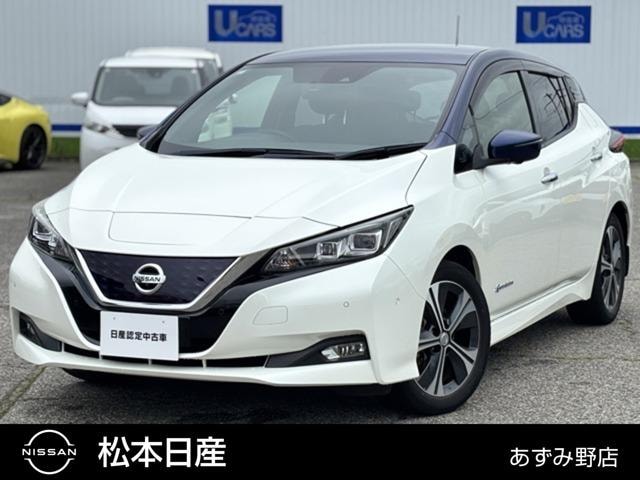 Nissan LEAF 2017 — фото автомобиля 1