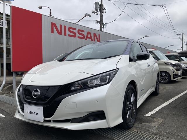 Nissan LEAF 2022 — фото автомобиля 1