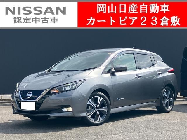 Nissan LEAF 2019 — фото автомобиля 1
