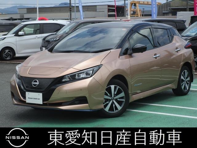 Nissan LEAF 2021 — фото автомобиля 1