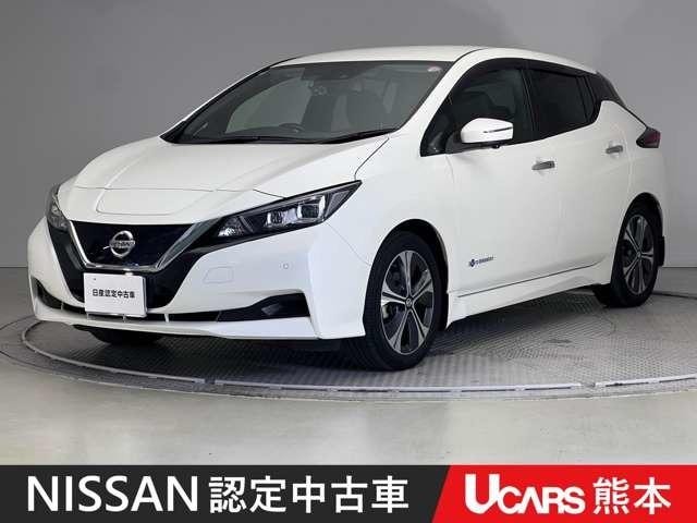Nissan LEAF 2020 — фото автомобиля