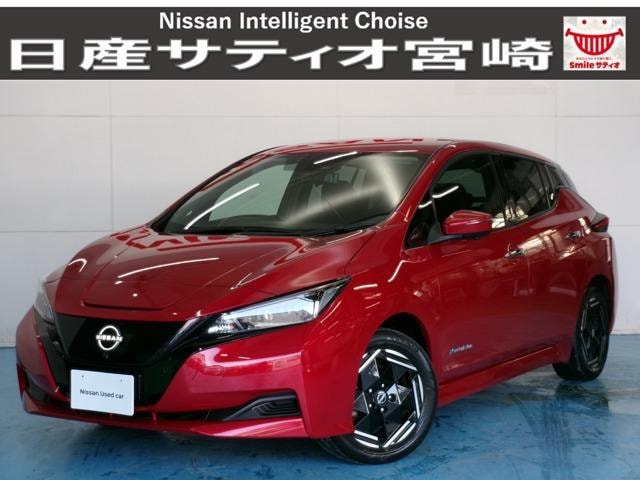 Nissan LEAF 2024 — фото автомобиля 1