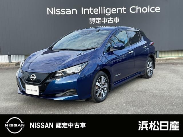 Nissan LEAF 2021 — фото автомобиля 1