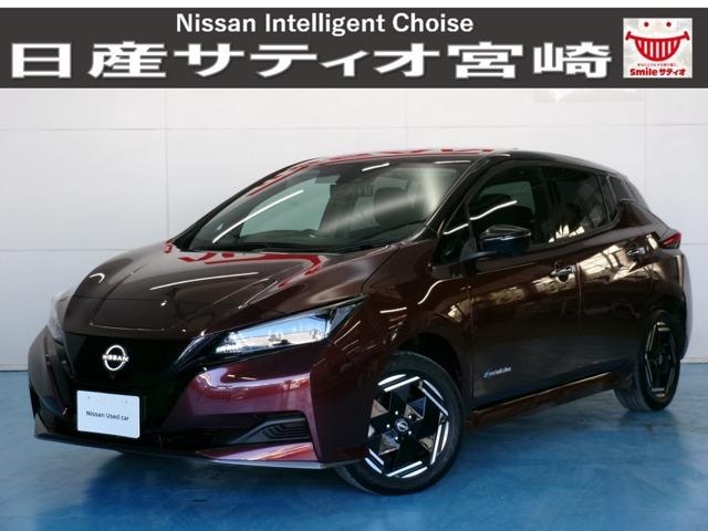 Nissan LEAF 2024 — фото автомобиля 1