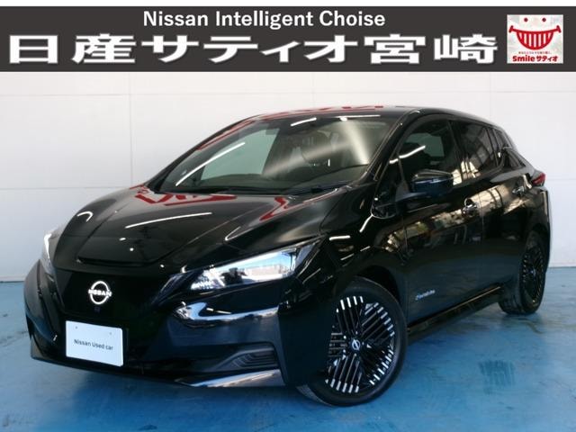 Nissan LEAF 2024 — фото автомобиля