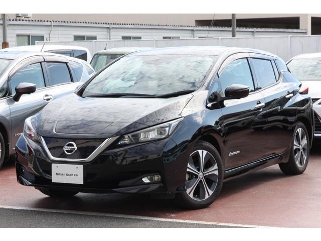 Nissan LEAF 2019 — фото автомобиля 1