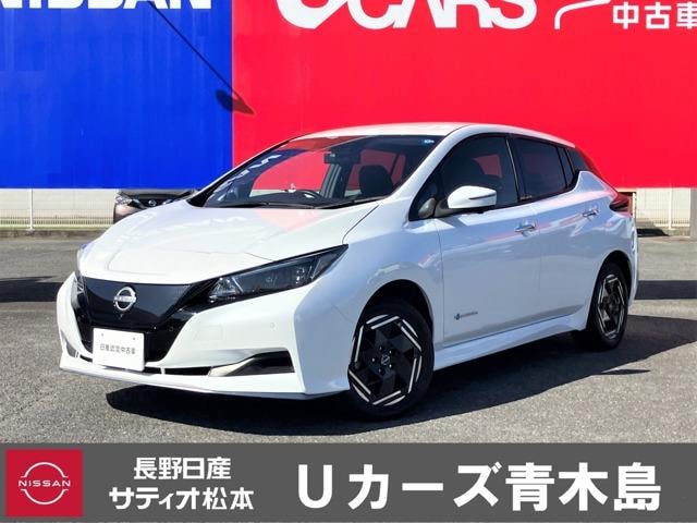 Nissan LEAF 2024 — фото автомобиля 1