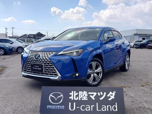 Lexus UX 2023 — фото автомобиля