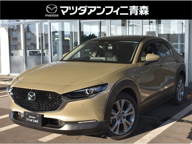 Mazda CX-30 2024 — фото автомобиля