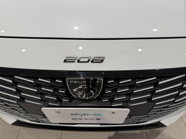 Миниатюра 29