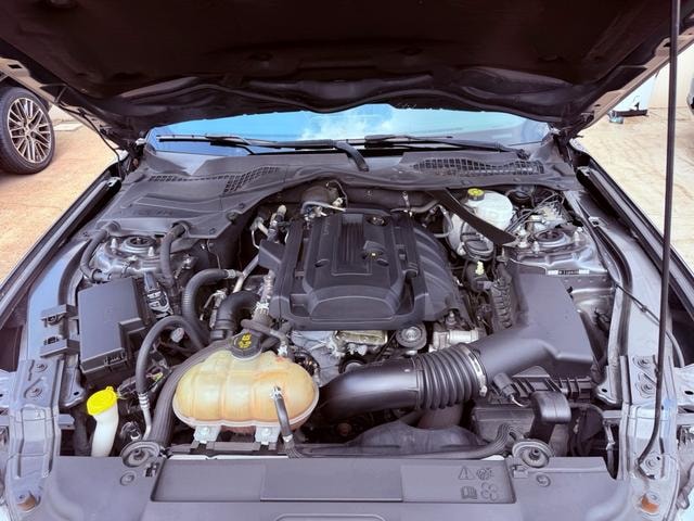 Миниатюра 38