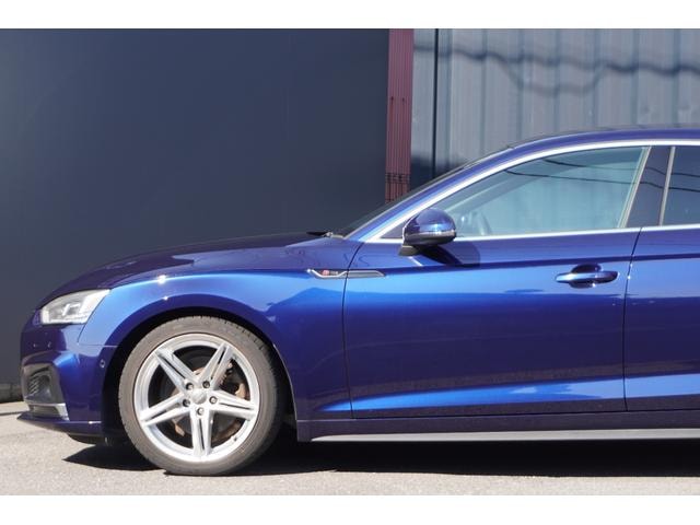 Миниатюра 41