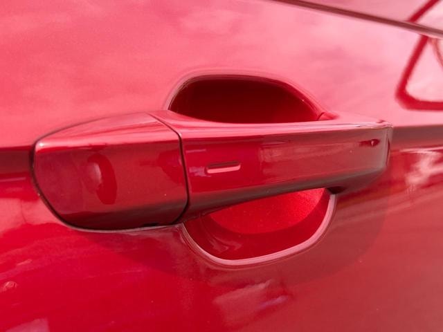 Миниатюра 17