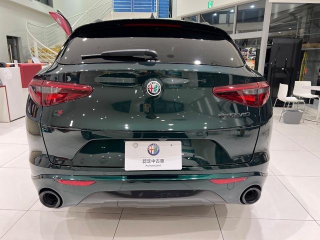 Alfa Romeo STELVIO 2021 — фото автомобиля 1
