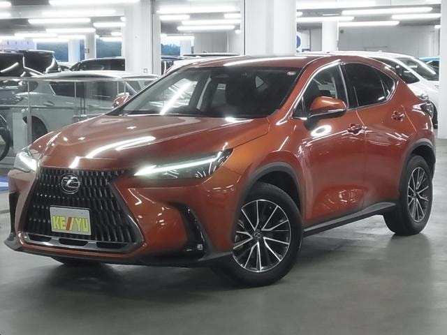 Lexus NX 2021 — фото автомобиля 1