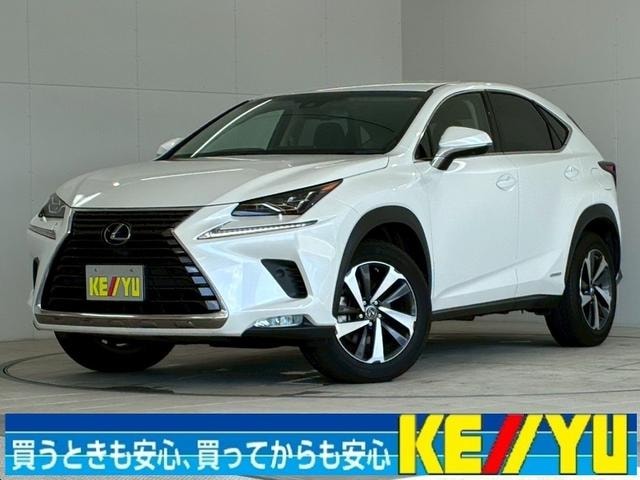 Lexus NX 2018 — фото автомобиля 1