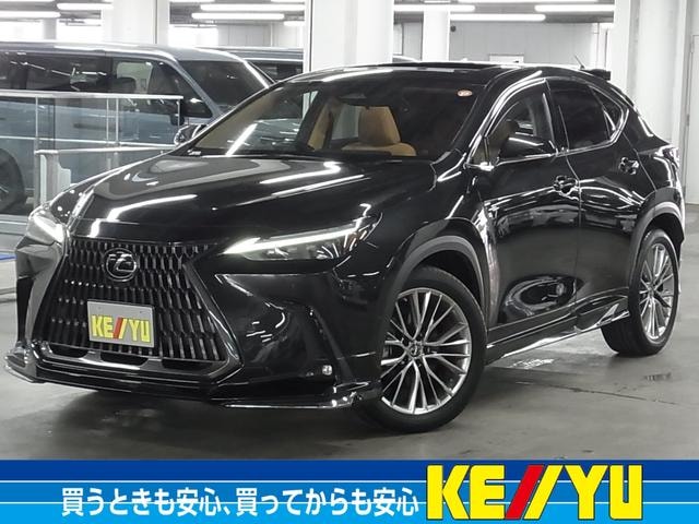 Lexus NX 2022 — фото автомобиля