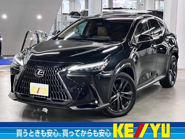 Lexus NX 2024 — фото автомобиля 1