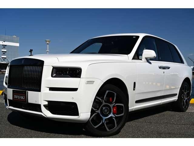Миниатюра 22