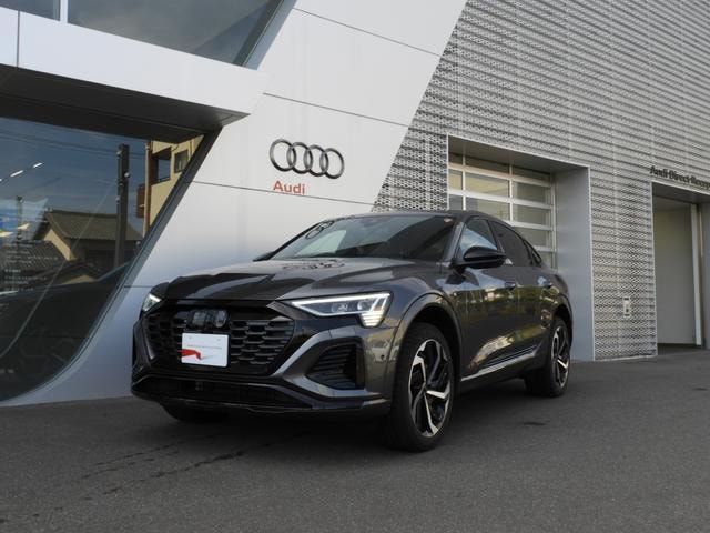 Audi Q8 SPORTBACK E-TRON 2024 — фото автомобиля