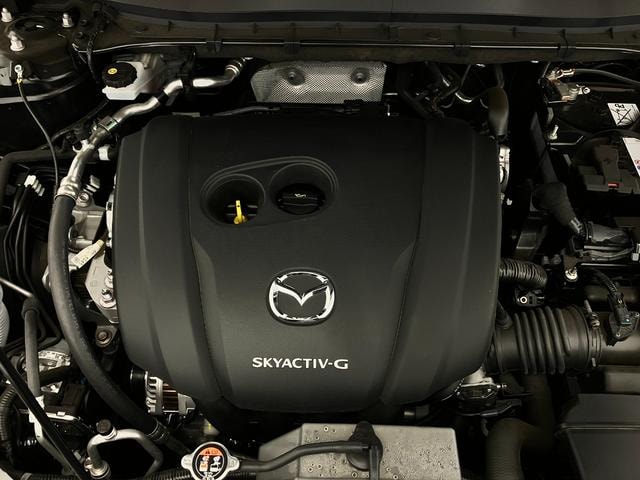 Миниатюра 79