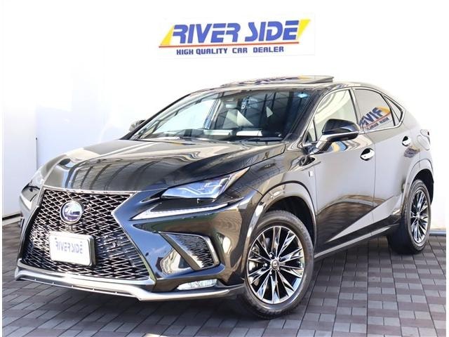 Lexus NX 2021 — фото автомобиля 1