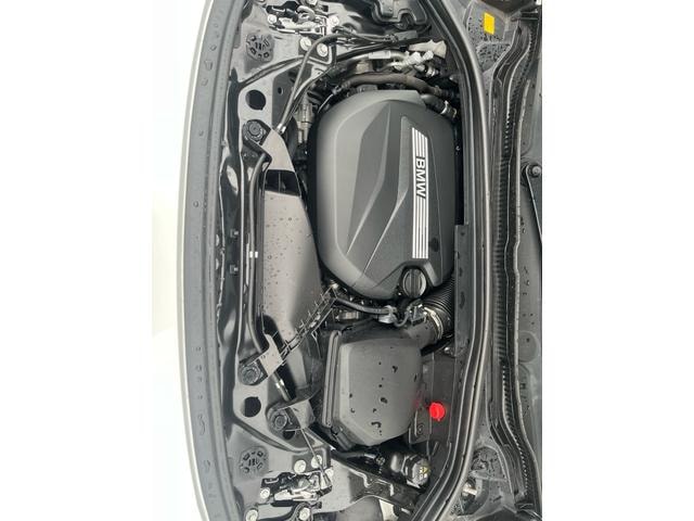 Миниатюра 37