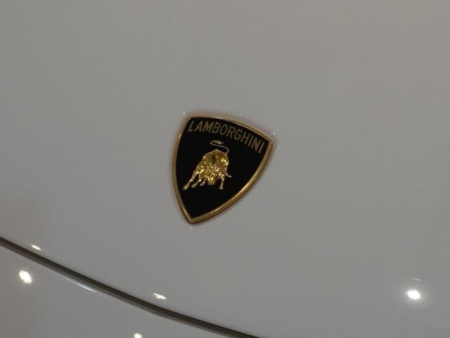 Миниатюра 22