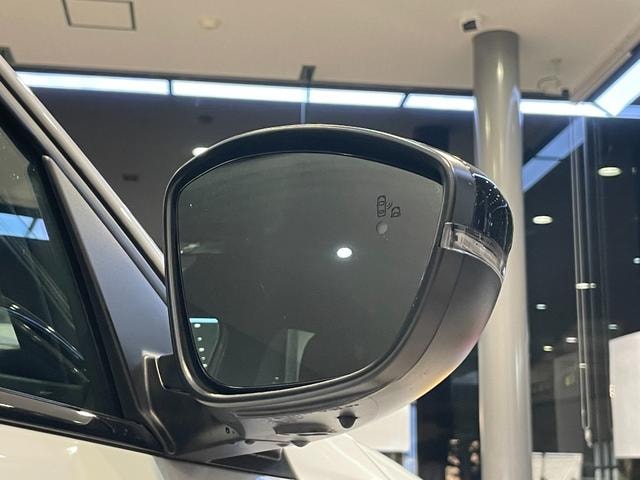 Миниатюра 18