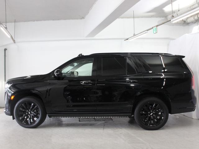 Миниатюра 8