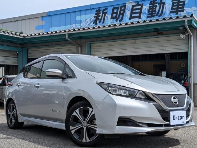Nissan LEAF 2018 — фото автомобиля 1
