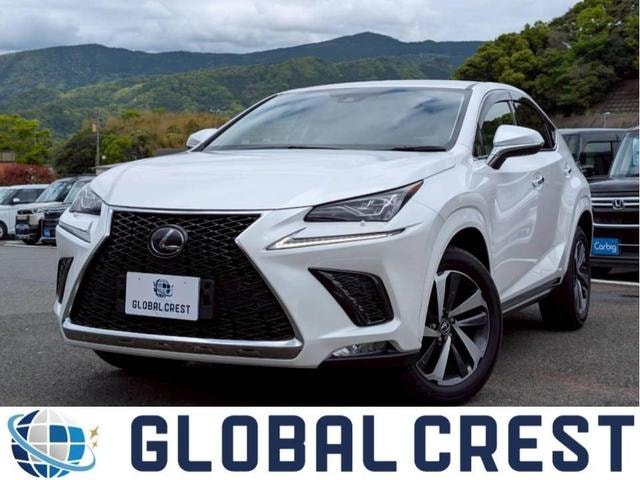 Lexus NX 2020 — фото автомобиля 1
